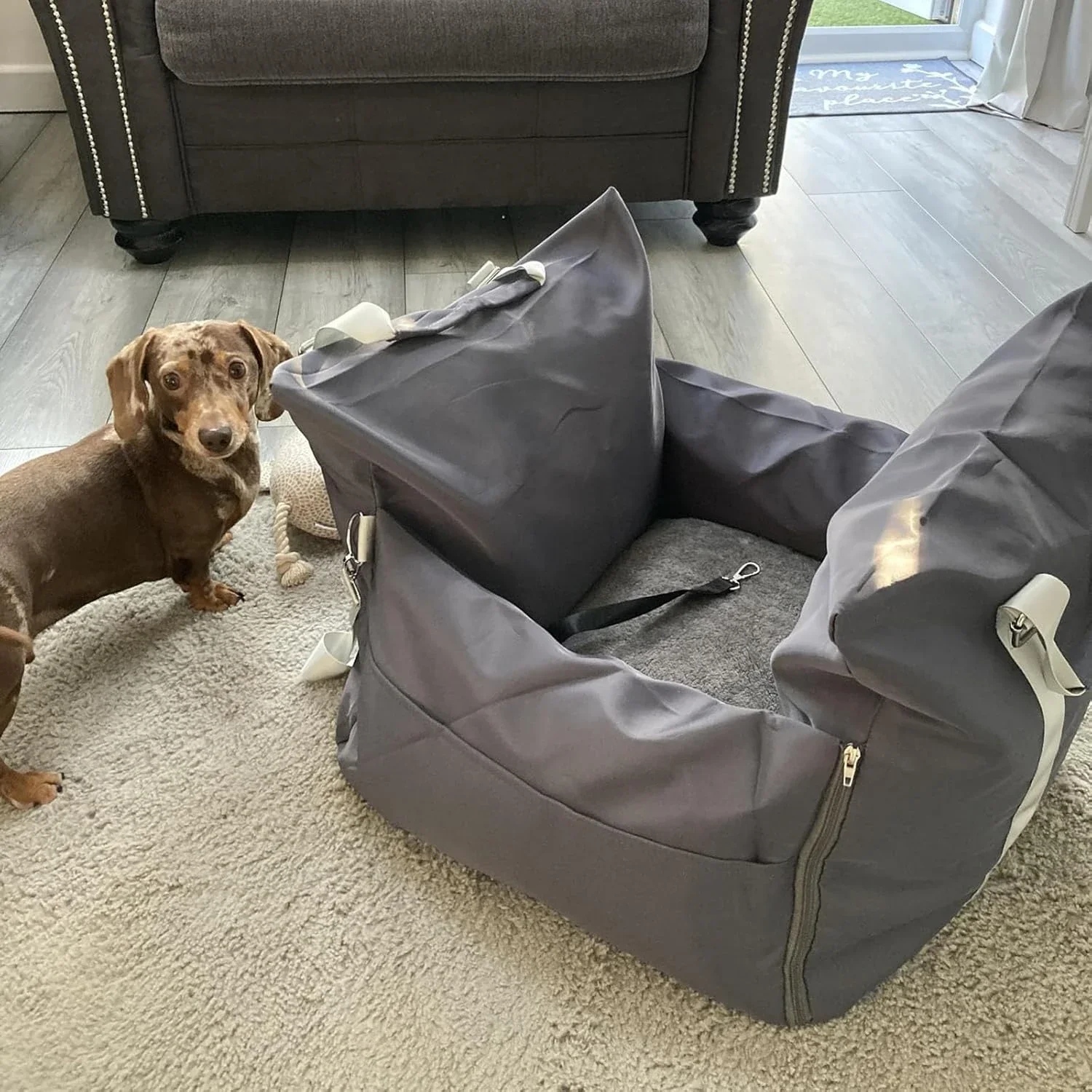 Siège auto pour petit chien Le - Car Accessories Under 100 avis et prix